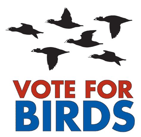 vote this bird